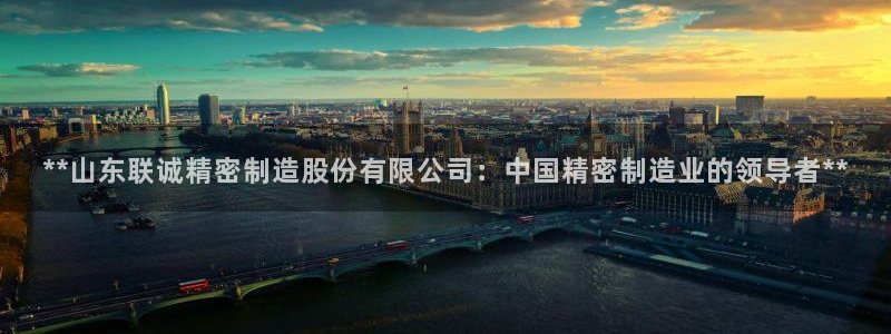 彩神vi官网版：**山东联诚精密制造股份有限公司：中国精密制造业的领导者**