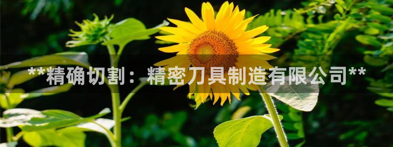 彩神购彩购彩大厅入口v