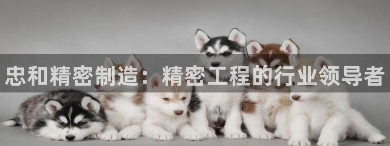 彩神vl购彩大厅