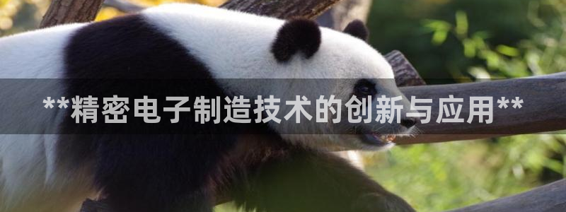 彩神ix官网