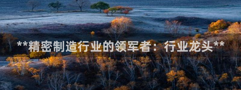 彩神平台能提现吗