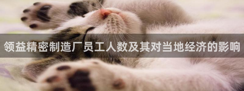 彩神viii官网