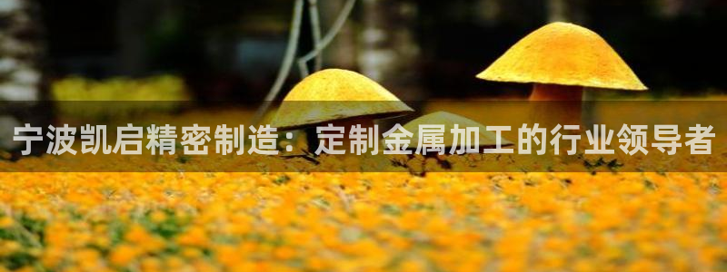 彩神app能挣到钱吗