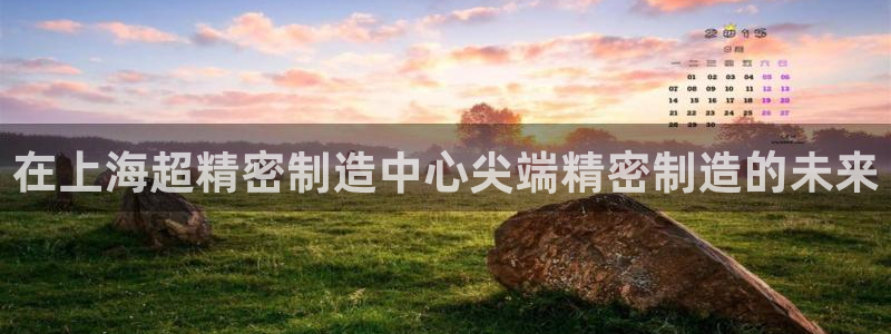 彩神v集团有限公司