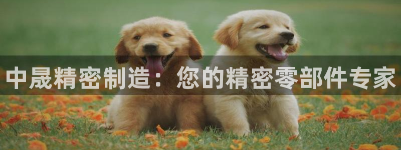 彩神v8手机客户端下载