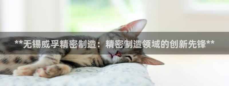 彩神iv能赚钱吗