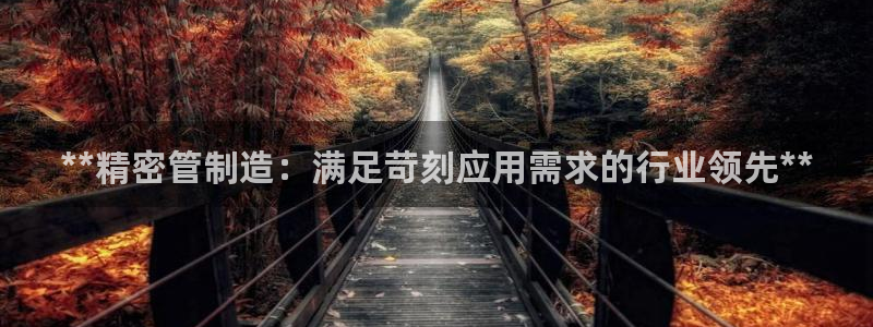 彩神V集团有限公司