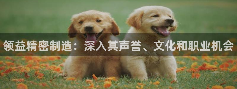 彩神v8下载
