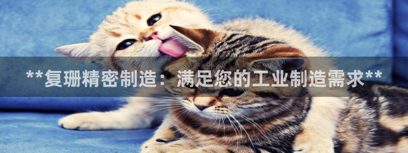 彩神VII购彩中心
