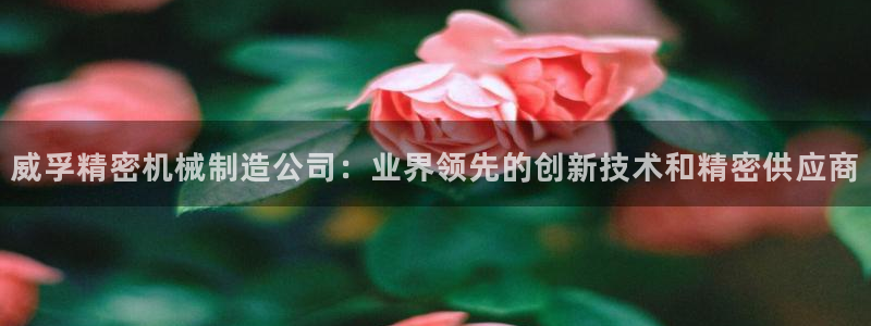 彩神平台是真的吗