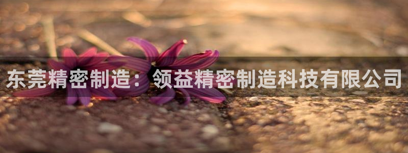 彩神vll购彩大厅大众