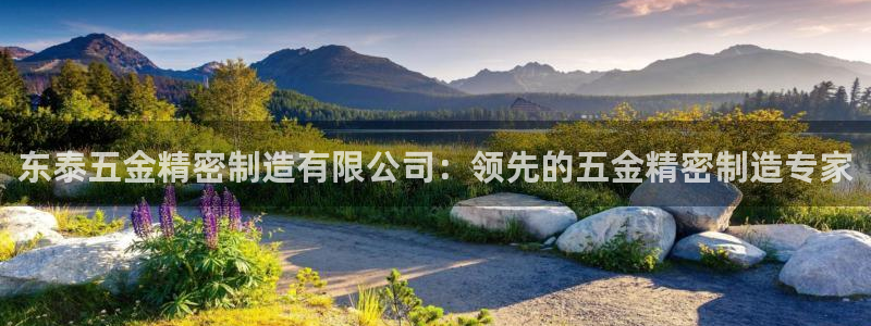 彩神viii是正规平台吗?