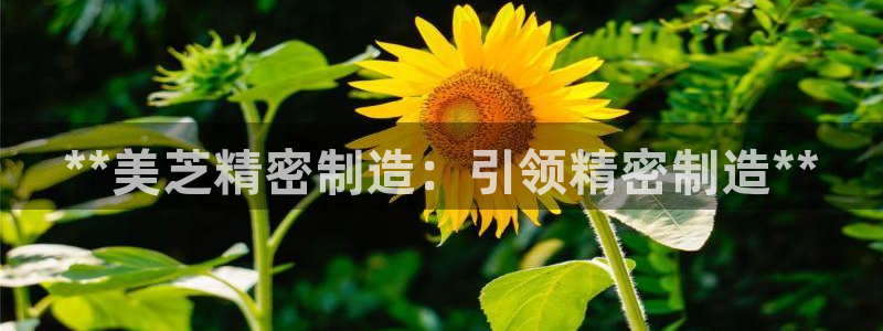 彩神到底能不能赚钱