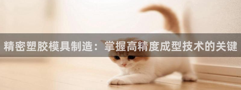 彩神viii下载安卓