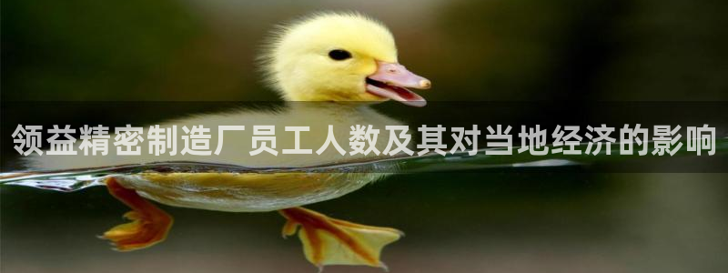彩神正规吗：领益精密制造厂员工人数及其对当地经济的影响