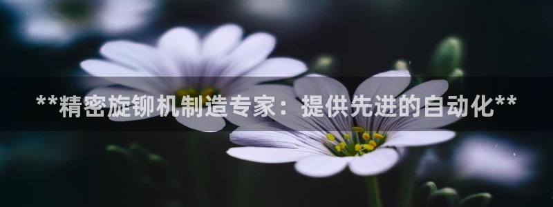 彩神vi官网版：**精密旋铆机制造专家：提供先进的自动化**