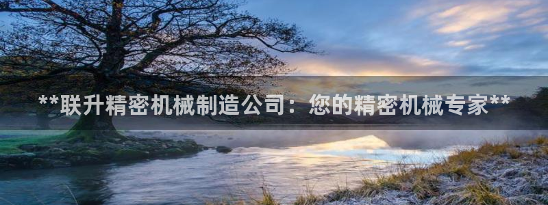 彩神赢钱了吗：**联升精密机械制造公司：您的精密机械专家**