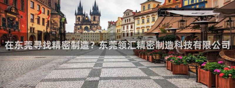 彩神系列平台：在东莞寻找精密制造？东莞领汇精密制造科技有限公司