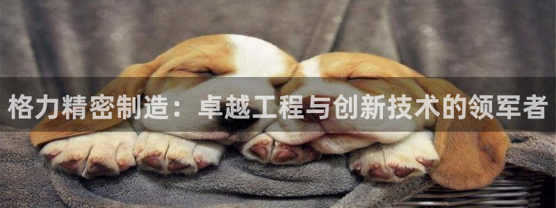 彩神v天天：格力精密制造：卓越工程与创新技术的领军者