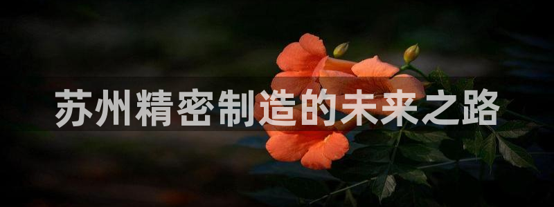 彩神8官网版是正规的吗：苏州精密制造的未来之路