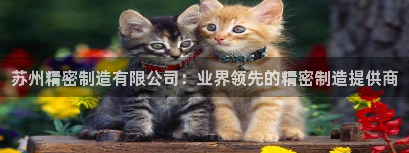 彩神V集团有限公司：苏州精密制造有限公司：业界领先的精密制造提供商