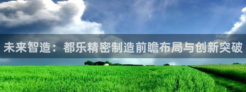 彩神ix官网是哪个公司的：未来智造：都乐精密制造前瞻布局与创新突破