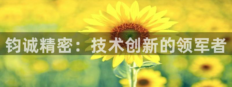 彩神网能赚钱是怎么回事：钧诚精密：技术创新的领军者