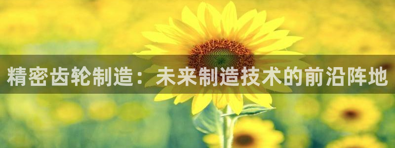 彩神vⅲ下载安装：精密齿轮制造：未来制造技术的前沿阵地