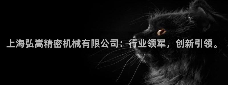 彩神Vll购彩大厅：上海弘嵩精密机械有限公司：行业领军，创新引领。