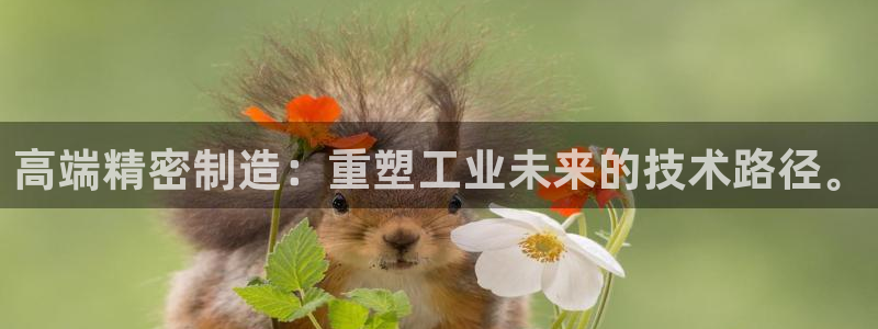 彩神vllⅰ购彩大厅：高端精密制造：重塑工业未来的技术路径。