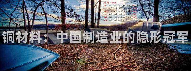彩神vl购彩大厅：铜材料：中国制造业的隐形冠军