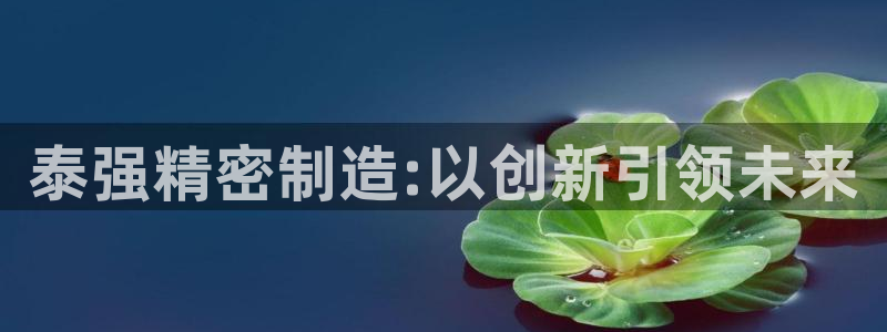 新版彩神v8登录：泰强精密制造:以创新引领未来