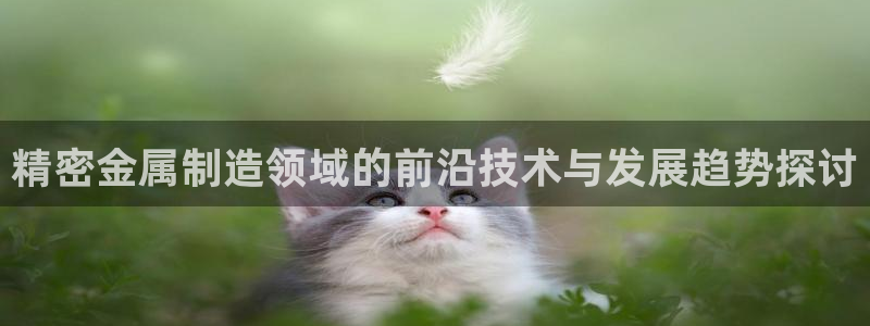 彩神VII官方版：精密金属制造领域的前沿技术与发展趋势探讨