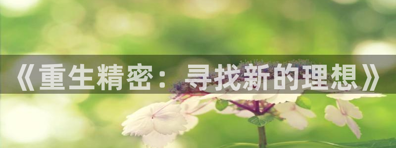彩神v8购彩大厅登：《重生精密：寻找新的理想》