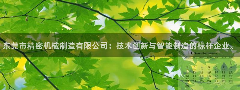 彩神viii是正规平台吗?：东莞市精密机械制造有限公司：技术创新与智能制造的标杆企业。