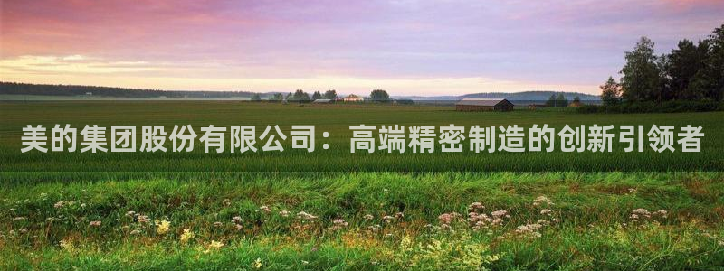 彩神v8是一个什么平台游戏：美的集团股份有限公司：高端精密制造的创新引领者