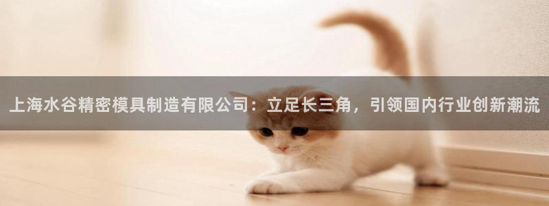 彩神v1官网：上海水