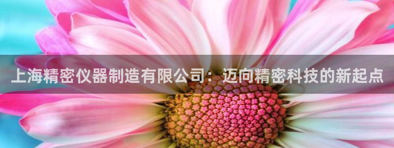 彩神vii购彩l心：上海精密仪器制造有限公司：迈向精密科技的新起点