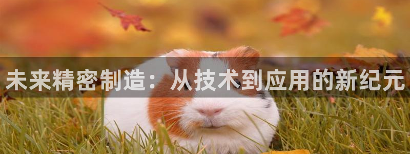 彩神网正规吗：未来精密制造：从技术到应用的新纪元