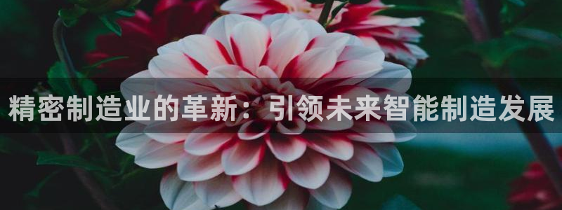 彩神VII购彩中心：精密制造业的革新：引领未来智能制造发展