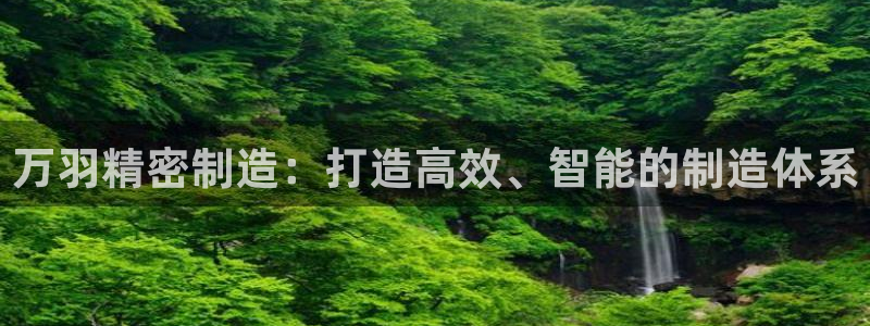 彩神的邀请码是多少：