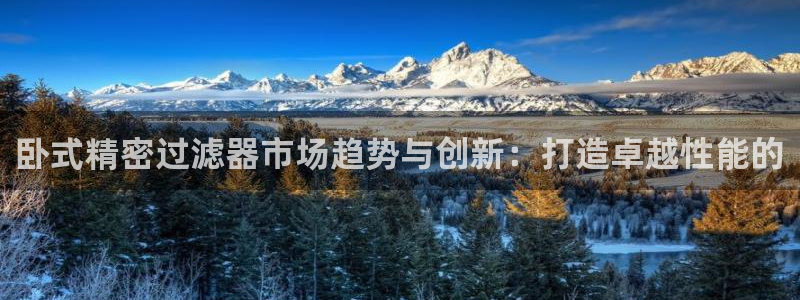 彩神8购彩-购彩大厅：卧式精密过滤器市场趋势与创新：打造卓越性能的