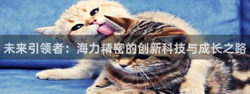 彩神争霸官网登录平台：未来引领者：海力精密的创新科技与成长之路