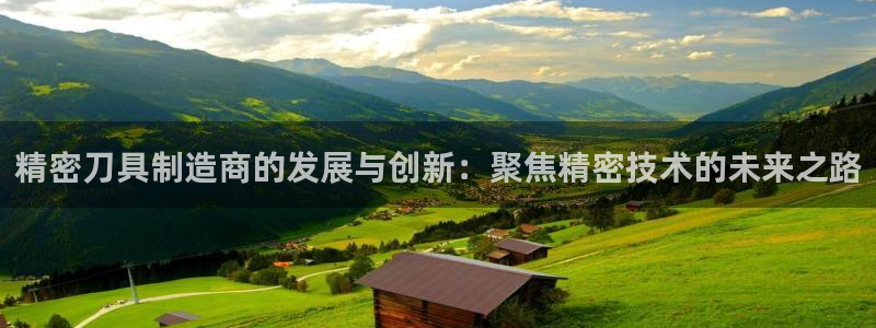 彩神是什么平台：精密