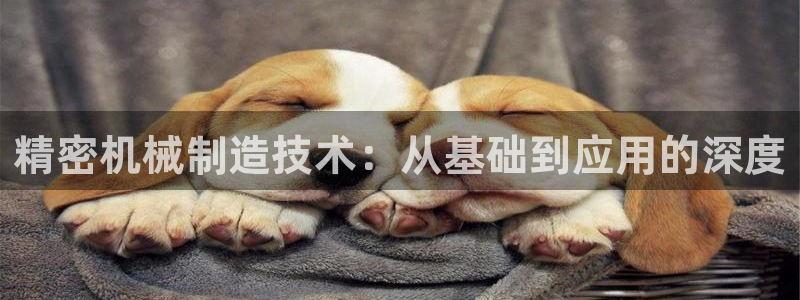 彩神ios下载：精密