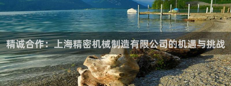彩神盈利图片：精诚合