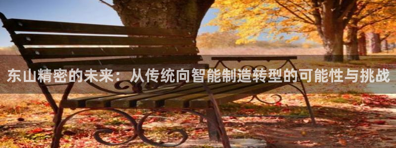 彩神8官网版：东山精密的未来：从传统向智能制造转型的可能性与挑战