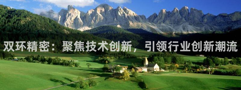 彩神购彩-购彩大厅入口36fr：双环精密：聚焦技术创新，引领行业创新潮流