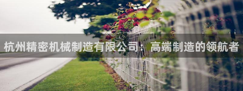 彩神Vll：杭州精密机械制造有限公司：高端制造的领航者