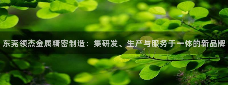 彩神app能挣到钱吗：东莞领杰金属精密制造：集研发、生产与服务于一体的新品牌